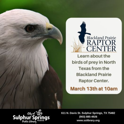 Spring Break brings Raptors to the Library!