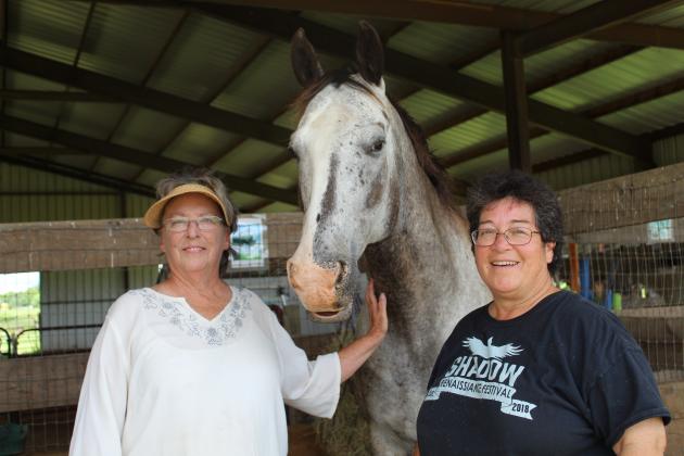 Shadow Ranch co-founders Pam Richardson (left) and Marion Cox (right) flank Star, one of the equine therapists on staff at the therapeutic riding center just outside Sulphur Springs. Star is a black and white Appaloosa and has been at Shadow Ranch since 2010.