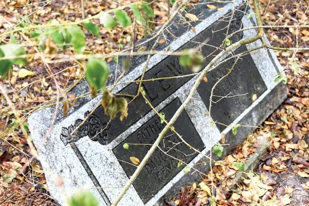 A grave marker belonging to the Lewis family is hidden behind an overgrowth of bushes and young trees near one of the fence lines in Mel Have Cemetery. Staff photos by Jillian Smith