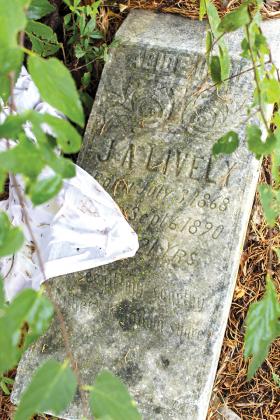At the base of a tree near the roadway through Mel Haven Cemetery, trash and overgrowth cover the headstone that once marked the grave of J A Lively, who died in 1890 at age 21. Staff photos by Jillian Smith