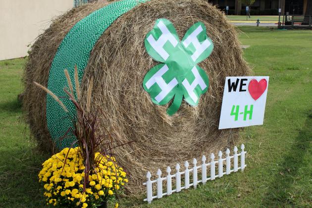 Hopkins County AgriLife Extension Office 4-H