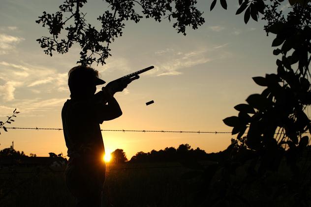 Dove hunting represents what is arguably the highest quality, low cost hunting experience available to Texas hunters. The season opens in the North and Central zones at 30 minutes before sunrise on Sept. 1, which falls on a Tuesday this year. Sept. 14 is the opener in the South Zone. Courtesy/Matt Williams