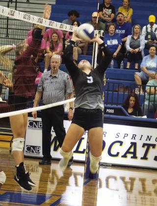 PASS SETTING — Harper Hodges (9) sets a pass during recent home action. Hodges recorded 13 assists, eight digs, one ace, and one kill in the Lady Wildcats' three-set loss to North Lamar Friday. Photo by DJ Spencer