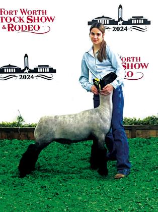 Sulphur Springs FFA member Chloe Miller placed 19th at the Fort Worth Stock Show with her lamb.