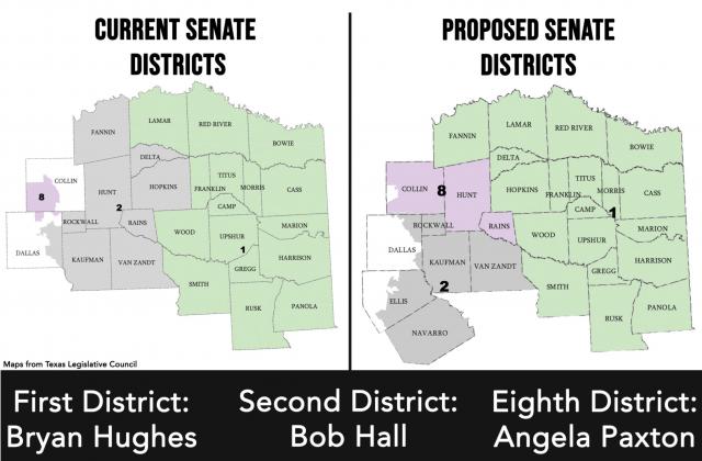 This graphic shows the current and proposed state senate districts. The maps have not yet been approved by the legislature. Illustration by Todd Kleiboer