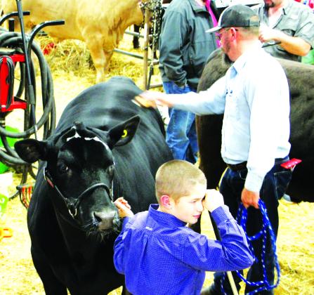 Rory Bettes shed a few tears while saying goodbye to his prizewinning Grand Champion steer following their final turn in the ring at last weekend’s NETLA Junior Market Livestock Show and Sale. Bettes was one of over 130 competitors who showed the animal projects they’ve spent months training, feeding and caring for. See Page 10 for more photos of the 2024 grand and reserve Junior Market Show on Page 10. NETLA Photos by Tammy Vinson