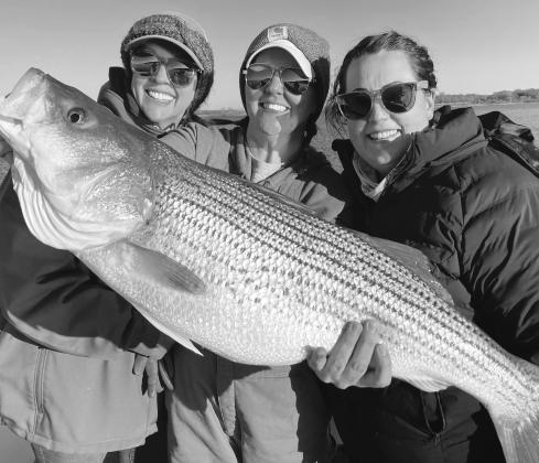 HAPPY ANGLERS —The striped bass is a rough customer that ranks as the fourth most popular fish among Texas’ freshwater fishing crowds behind largemouth bass, catfish and crappie. Lake Texoma is North Texas has for years ranked as the state’s top striper fishery, mainly because it is one of the few freshwater reservoirs in nation where populations are self sustaining.