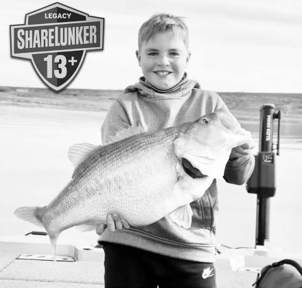 Stetson Davis, 11, displays the 13.31 Legacy Class Toyota ShareLunker he caught on March 6 at Lake J.B. Thomas. The fish is a Junior Angler Water Body record for the 7,600acre reservoir near Snyder. Courtesy Photo, Brodey Davis