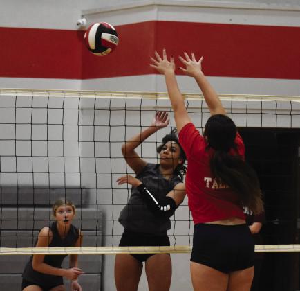 Sarah Attaway blocks the ball during the Lady Panthers' scrimmage against Avery. Photo by DJ Spencer