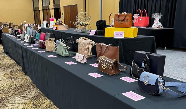 The 2023 prizes for Designer Hand Bingo featured designer and luxury designer bags. Over 25 designer bags will be given away at the Health Care Foundation’s Annual Designer Handbag Bingo on Aug. 8.