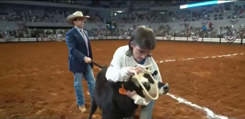 Luke Norman of Sulphur Springs FFA caught a calf at the Fort Worth Stock Show.