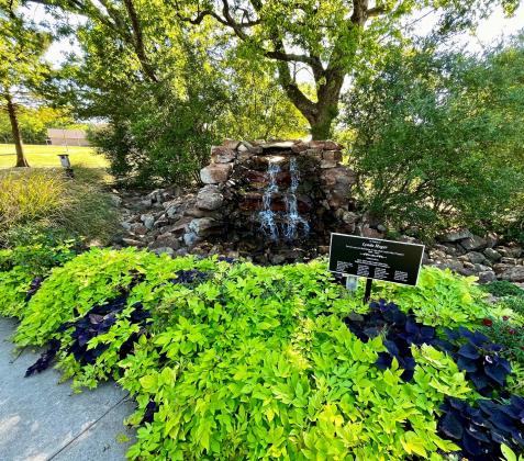 A waterfall is one of the focal points of the Gardens at Memorial, which was the first project funded with Hopkins County Health Care Foundation’s Gala proceeds. For more information about the Gala, visit LOLGala2024.givesmart.com. HCHC Foundation Photo