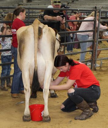 Contestant Logan McCain squeezed 42.1 ounces of milk out of her cow, garnering a second place trophy in the Milking Contest.
