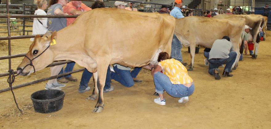 John and Gena Prickette, parents of contestant Caroline Prickette; Chris and Lezley Brown, parents of contestant Talley Brown; and other parents of contestants 9-12 compete in the 2023 Milking contest