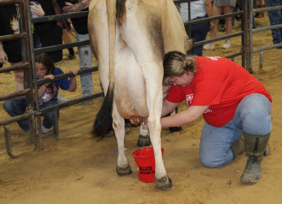 Dairy Festival Queen Pageant contestant Allece Johnson competes in the 2023 Milking Contest.