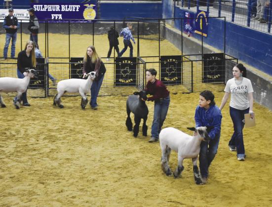 THURSDAY COMPETITION — Young competitors fill the arena at the NELTA Junior Market Show being held through Saturday at the Hopkins County Civic Center.