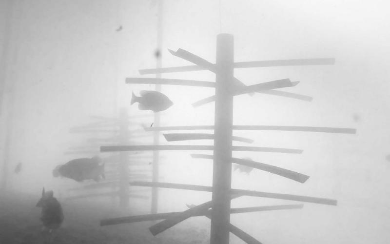 Arkansas-based MossBack Fish Habitat has worked with numerous conservation organizations, as well as the Texas Parks and Wildlife Department, to provide artificial fish structures for use in habitat restoration projects on public lakes throughout Texas. MossBack Photo
