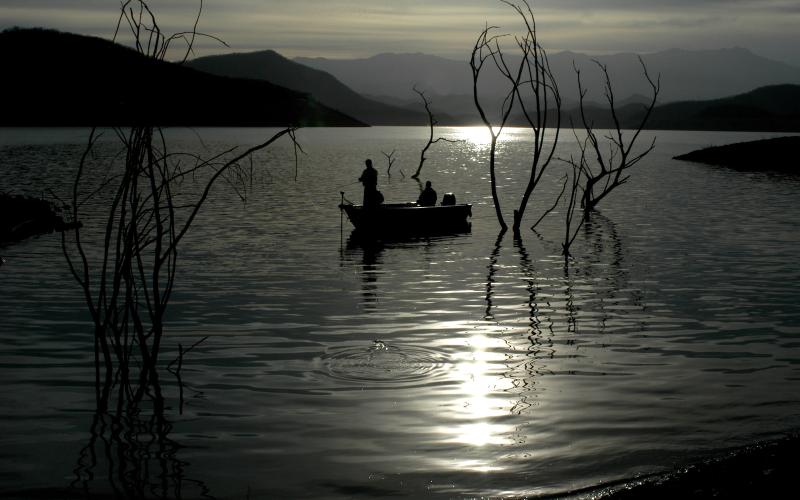 Topwater fishing is arguably among the most enjoyable ways to catch bass because strikes can be explosive and totally unexpected when they come. Courtesy/Matt Williams