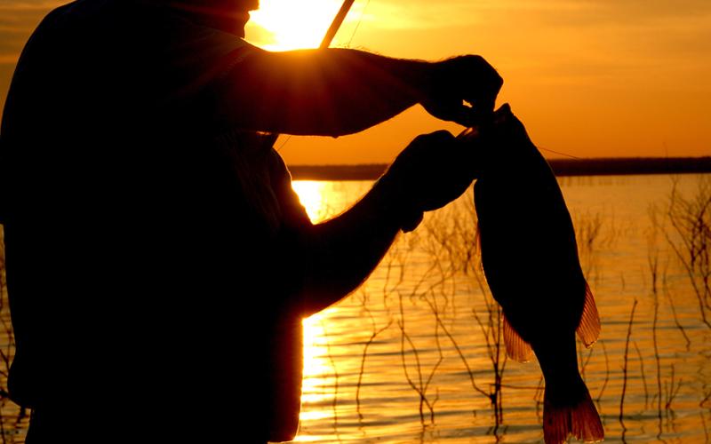 Texas Parks and Wildlife saw a spike in fishing license sales during early stages of the coronavirus pandemic last spring as thousands of new anglers flocked to the water in hopes of catching a few fish while practicing their social distancing. It won’t come as a surprise if a similar surge in recreational license sales occurs this fall as folks continue to seek respite in the outdoors. Courtesy/Matt Williams