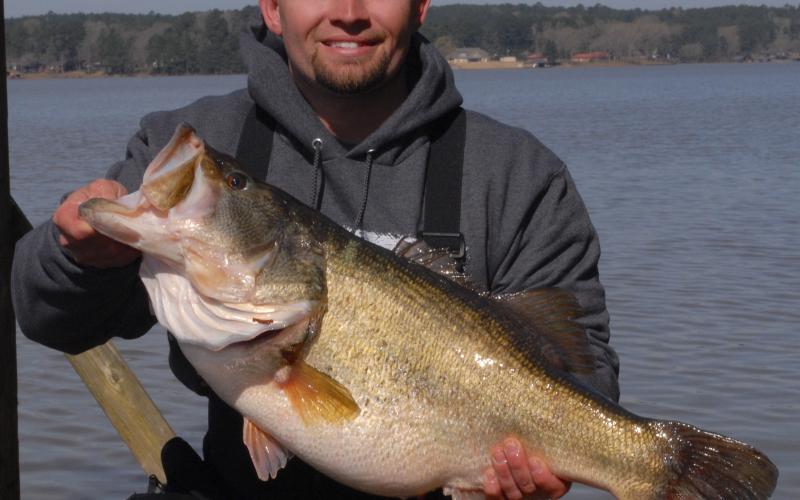 Genetic fingerprinting identified Joe Castle’s 15.34-pound Legacy Lunker caught at Lake Nacogdoches in February 2020 as the 12-year-old offspring of 14.50-pound ShareLunker caught from Tyler State Park Lake. The fish was stocked in 2008 as an “advanced-growth” fingerling 6-8 inches long. Castle’s big bass is the fifth Legacy class ShareLunker caught from Texas lakes since 2017 to be identified as an offspring from TPWD’s selective breeding program launched in 1986. Courtesy/Matt Williams