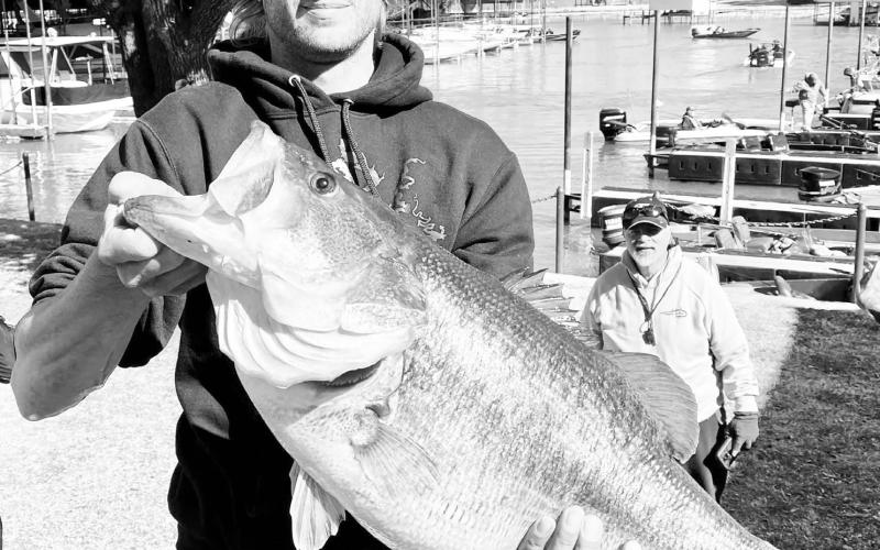 Robert Bandy’s 16 pound pure Florida bass caught in 2022 from Eagle Mountain Lake is among five Texas-caught bass that could unseat Kyle Hall as the IGFA Florida bass world record holder. Bandy would need to submit an application to the IGFA along with the proper documentation to do it. Toyota ShareLunker Photo