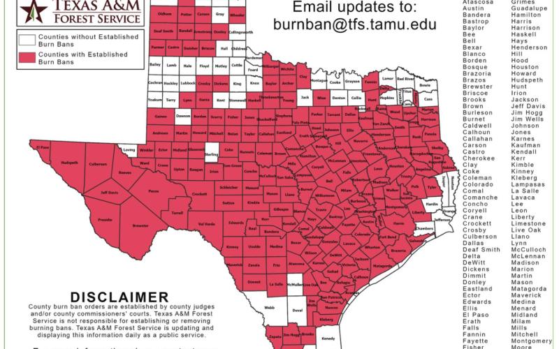 Texas burn ban map
