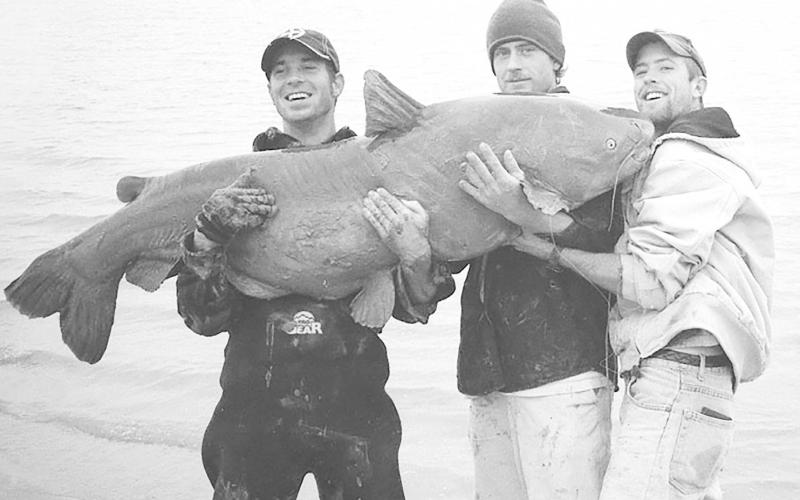 Cody Mullennix (far left) reeled in this monster blue catfish in January 2004 while fishing from the bank at Lake Texoma on the Texas and Oklahoma border. He was using cut shad for bait. Weighing 121.50 pounds, the fish ranks as the current Texas state record blue cat. The Mullennix blue ranked as the International Game Fish Association world record for several years, but has since been broken. Scientists believe the catfish was 23-25 years old.