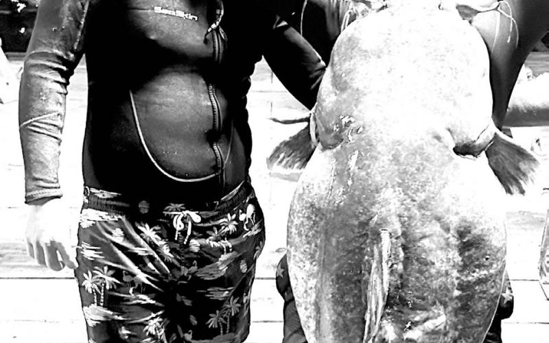 In June 2023, Lake Tawakoni noodler's Justin White and Drew Moore snatched this 98.7 pound flathead catfish from an old concrete washout at the base of a bridge crossing in about 14 feet of water. It may be the biggest Texas flathead ever noodled and documented on certified scales. The fish was released alive.