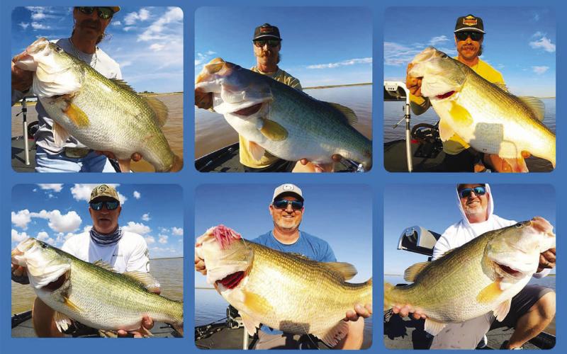 Fishing guide Brandon Burks (top row) has enjoyed some fairy tale fishing trips on the remote lake this month, including three consecutive trips where he and his client topped 50 pounds on five bass. Courtesy Photos/ Brandon Burks Fishing