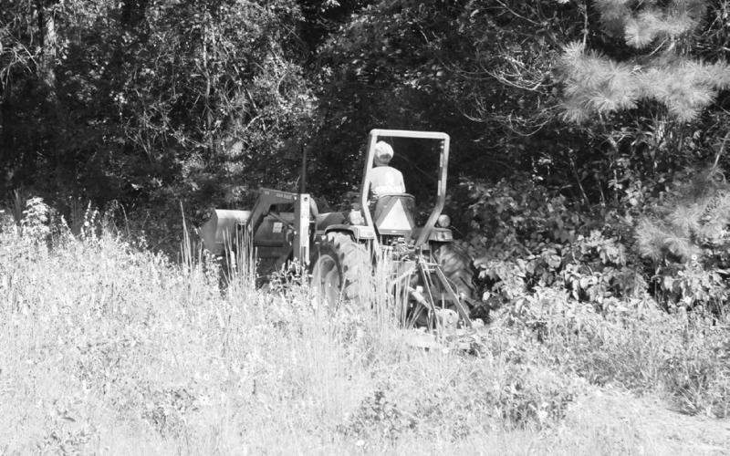 Brush hogging an overgrown pasture during the height of the fawning season from May through early July can be risky business. If possible, it’s better to wait until later in summer. Fawns will be more mobile and wary by then. Walking a field beforehand is never a bad idea. Photo by Matt Williams