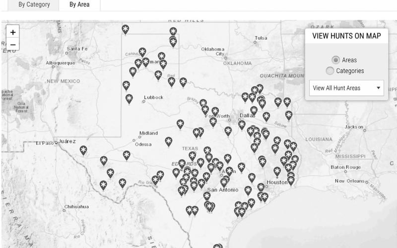 The Texas Parks and Wildlife Department’s Drawn Hunt web page provides all sorts of useful information including an interactive map that shows hunt locations around the state with clickable links that lead to site descriptions, hunt dates, associated fees and much more. The popular program offers hunters the opportunity to go after all sorts of game on well-managed properties like the Richland Creek WMA. Courtesy Photos/Texas Park and Wildlife Department