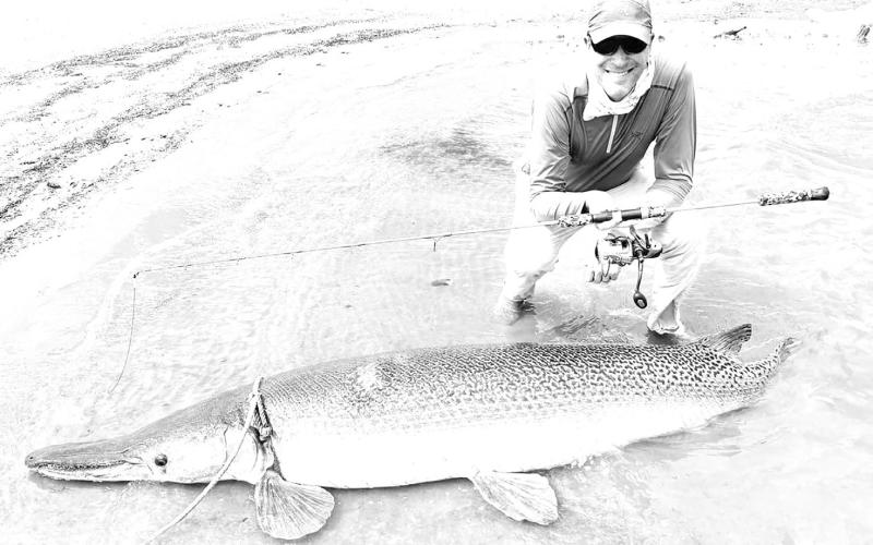 International Game Fish Association record chaser and light tackle specialist Art Weston with the 212-pound alligator gar he caught and released in September at Choke Canyon Reservoir near Three Rivers. The fish is a pending IGFA 16-pound line class world record and one of six line class world records Weston caught on the same trip.